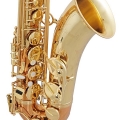 STS411C Alto Saxophone Copper Finish