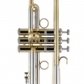 190L65GV Professional Trumpet