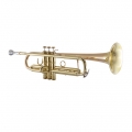 17043GYR Professional Trumpet