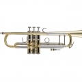 Bach 19043 Professional Trumpet